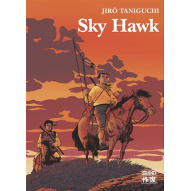  Sky Hawk