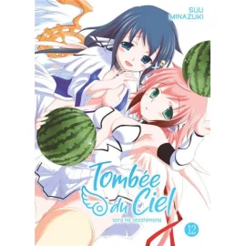 Tombée Du Ciel Tome 12