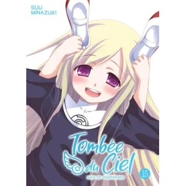 Tombée Du Ciel Tome 15