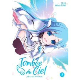 Tombée Du Ciel Tome 3