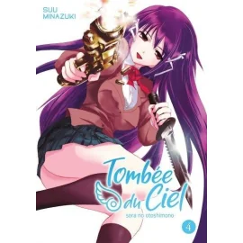 Tombée Du Ciel Tome 4