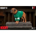 COMBINAISON ROCKY BALBOA NOIRE 1/6 DELUXE AF