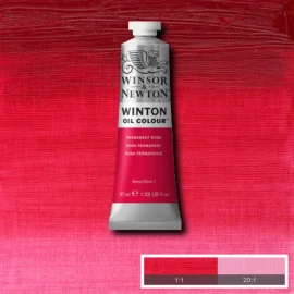 WINSOR & NEWTON WINTON COULEUR À L'HUILE 37ML - ROSE PERM