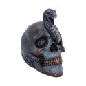 SERPENTINE FATE GOTHIC SNAKE SKULL