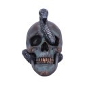 SERPENTINE FATE GOTHIC SNAKE SKULL