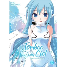 Tombée Du Ciel Tome 17