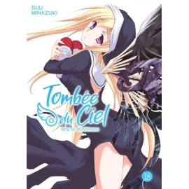 Tombée Du Ciel Tome 18