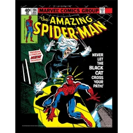 THE AMAZING SPIDER-MAN194 COLLECT.PRINT