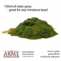 BASING - FIELD GRASS