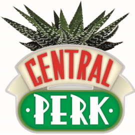 Amis : Pot de plantes Central Perk