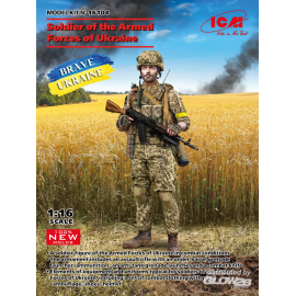 Maquette Soldat des Forces armées ukrainiennes (100 % de nouveaux moules)