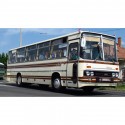 IKARUS 256 BEIGE/MARRON