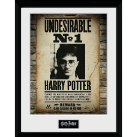  HARRY POTTER - Collector Print 30X40 - Undesirable No1