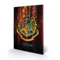 HARRY POTTER - Hogwarts Crest - Impression sur bois 40x59cm