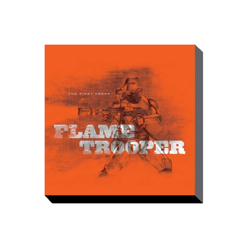 STAR WARS - Canvas 40X40 '38mm' - Episode VII - Flametrooper Orange