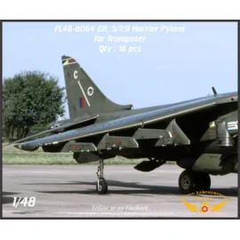 Pylônes d'armes BAe Harrier GR.5/Gr.7/Gr.9 pour Hasegawa (conçus pour être utilisés avec les kits Hasegawa)