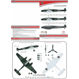 Messerschmitt Bf-110C (W. Mölders) 2N+GK (2./ZG 1) ou G9+GT (9./NJG 1)