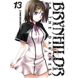 Brynhildr in the darkness tome 13