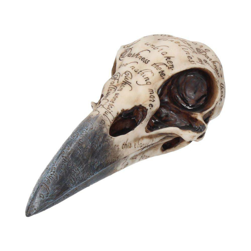 Edgar A Poe Raven Skull