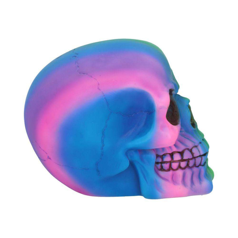 Skull Ornament Rainbow