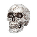 Skull Ornament Rivet Head