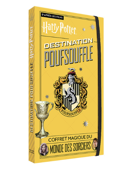 Coffret Harry Potter 1 à 7 Porte clé Hedwige DVD