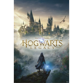 Hogwarts Legacy posters Hogwarts Wizarding World Universe 61 x 91 cm (pack de 5)