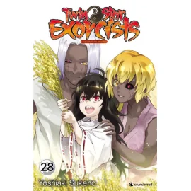 Twin star exorcists tome 28