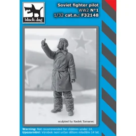 Soviet fighter pilot WWII N°1