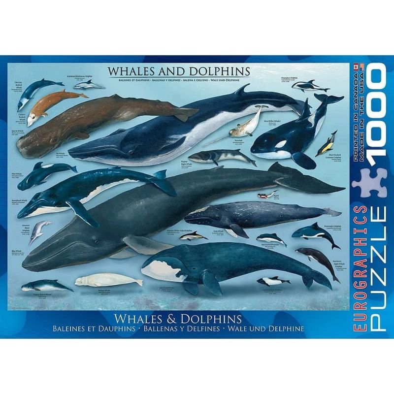 PUZZLE 1000P BALEINES ET DAUPHINS EUROGRAPHICS