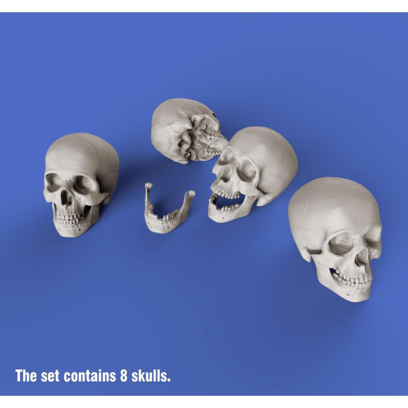 Royal Model: 1/35; Skulls