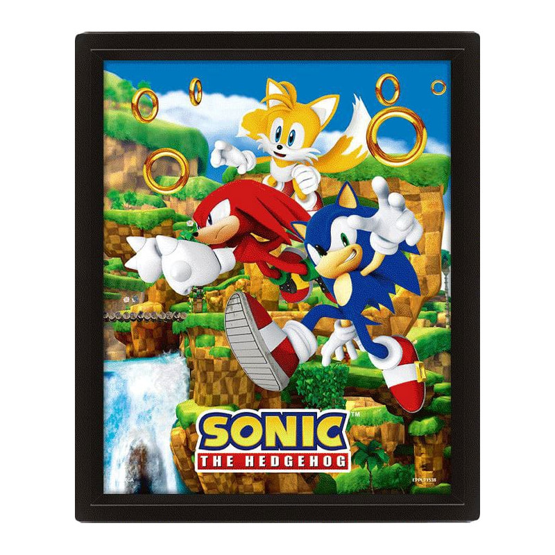  Sonic The Hedgehog poster effet 3D Catching Rings 26 x 20 cm