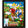  Sonic The Hedgehog poster effet 3D Catching Rings 26 x 20 cm