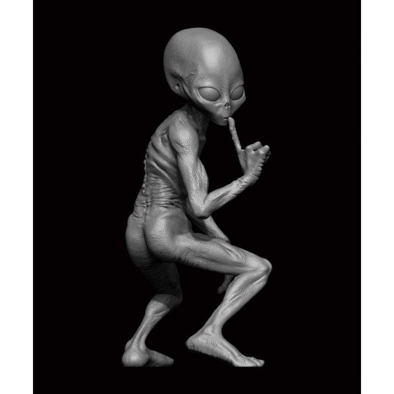 GREY ALIEN 3D printed Grey Alien figure, expertly crafted in dynamic pose and precise detail. This captivating extraterrestrial 