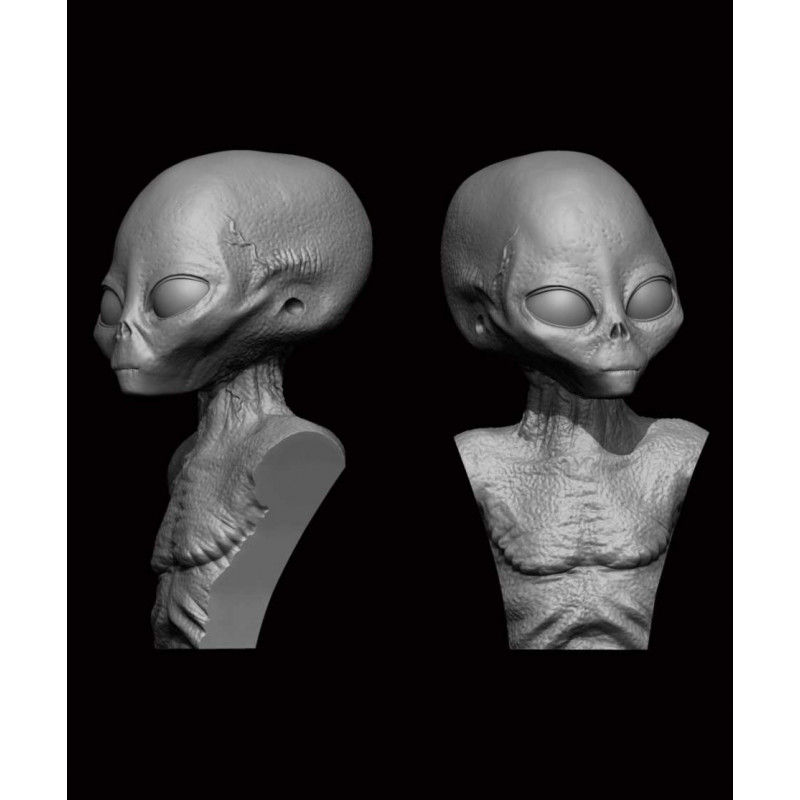 GREY ALIEN – BUST 5cm/50mm 3D printed Grey Alien figure, expertly crafted in dynamic pose and precise detail. This captivating e