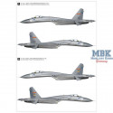 Su-27 "Flanker B" Heavy Fighter - Limited Edition