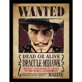  ONE PIECE LIVE ACTION Netflix - Dracule Mihawk - Impression encadrée 30x40cm