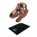 Jurassic Park - T-rex Skull Scaled Prop Replica