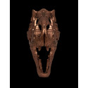 Jurassic Park - T-rex Skull Scaled Prop Replica