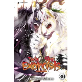 Twin star exorcists tome 30