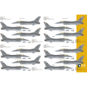 Genera-Dynamics F-16A/F-16B Vipers of the Caribbean