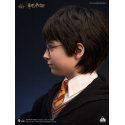 Harry Potter buste 1/1 Harry 76 cm