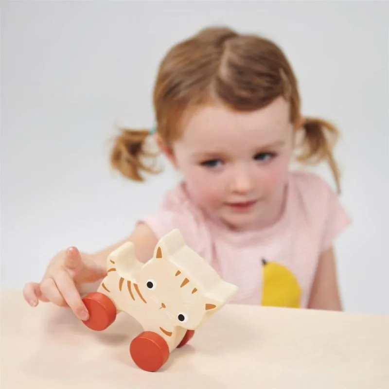 Mentari Bambino: CHAT SUR ROUES 11x5,5x10,5cm, en bois, en boîte, 6m+