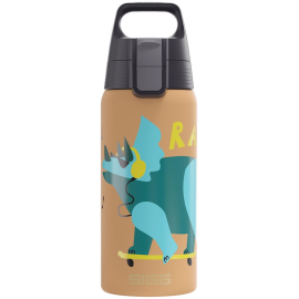 Sigg thermo 0.5l kids: RAWSOME, 90% acier inoxydable recyclé, marron, thermique chaud/froid