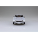 TOYOTA 2000GT THUNDER SILVER METALLIC SNAP KIT