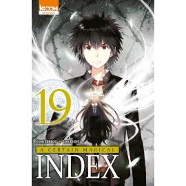 A certain magical index tome 19