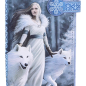 Anne Stokes porte-monnaie Winter Guardians 18 cm