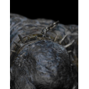 Le Seigneur des Anneaux statuette Cave Troll 16 cm
