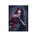 The Crow puzzle (500 pièces)