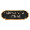 HARRY POTTER - Wingardium Leviosa - Décoration Mural